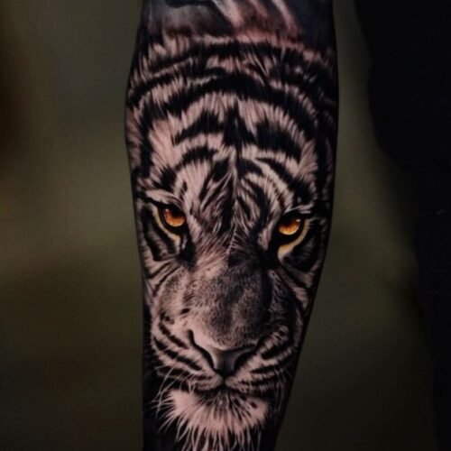 tattoo realismo tigre